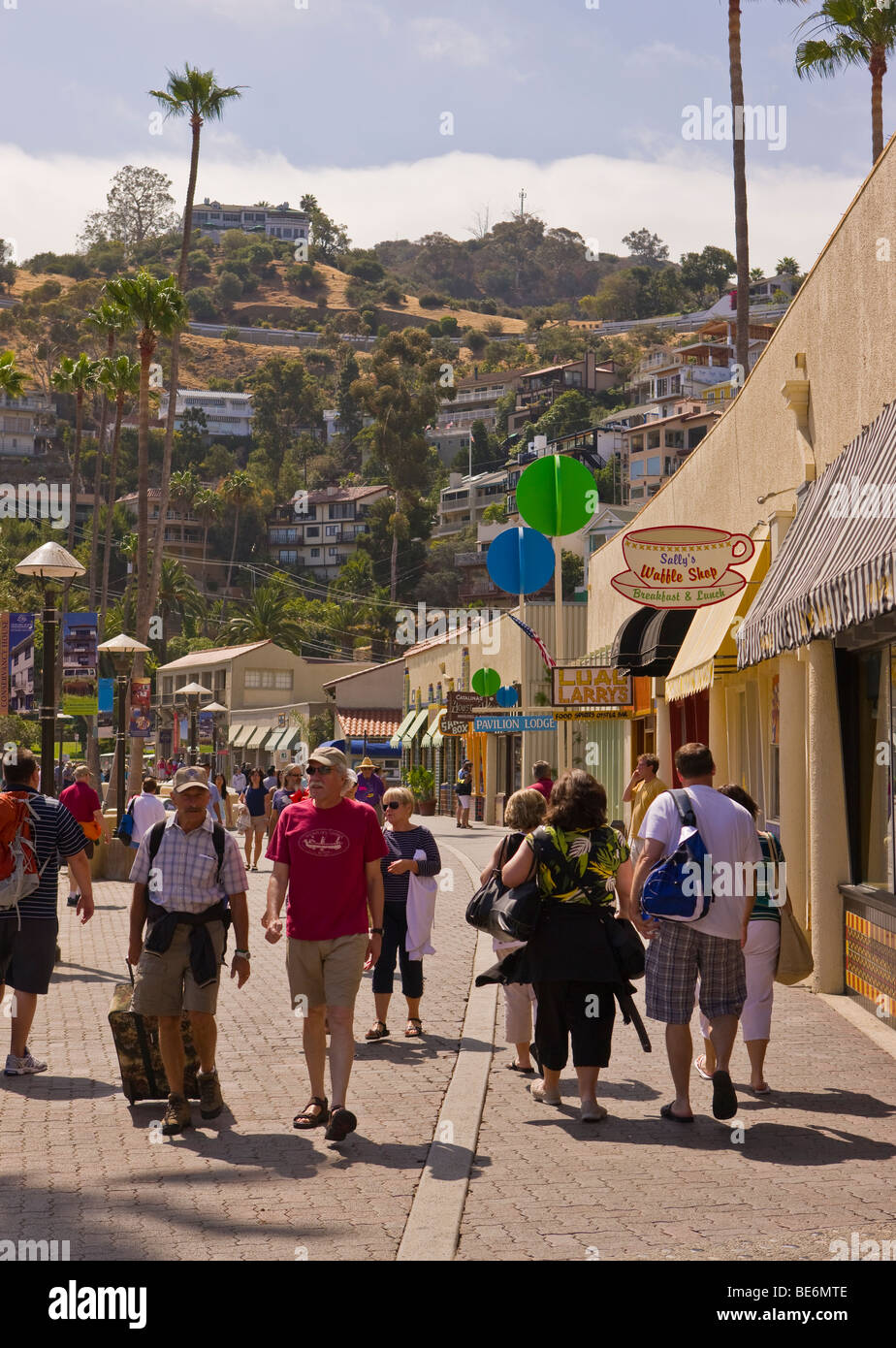 Are Dogs Allowed In Avalon California Stores