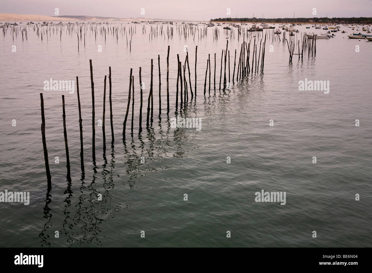 The shore front in Cap Ferret on Bassin d'Arcachon (Arcachon Bay) showing poles in the water indicating oyster harvesting beds Stock Photo