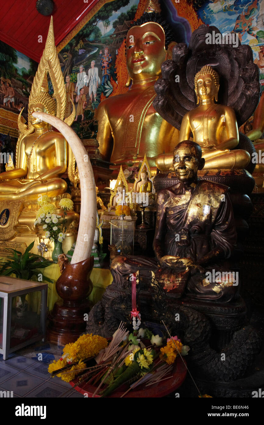 Golden Buddha statues and monk statue with an elephant tusk and sacrifices, temple Wat Phra That Doi Suthep, Chiang Mai, Northe Stock Photo