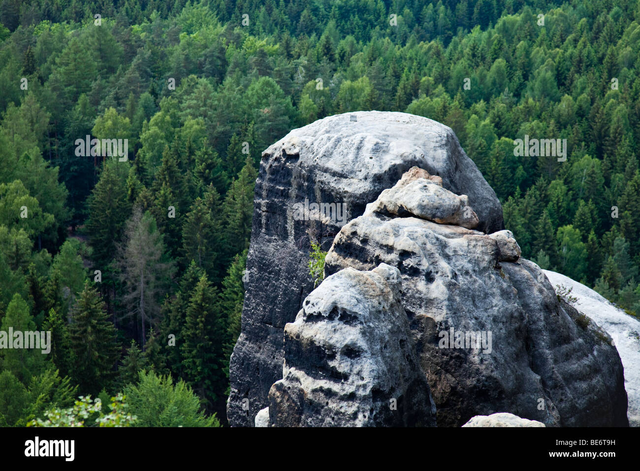 Rock and forest in the national park 'Sächsische Schweiz', Germany Stock Photo
