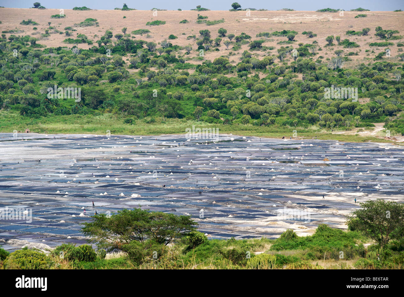 Ugandans harvesting salt in the Bunyampaka salt lake in the Kasenyi