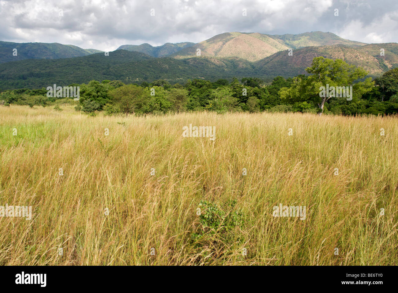 Landscape in the Semliki Wildlife Reserve in western Uganda. Stock Photo