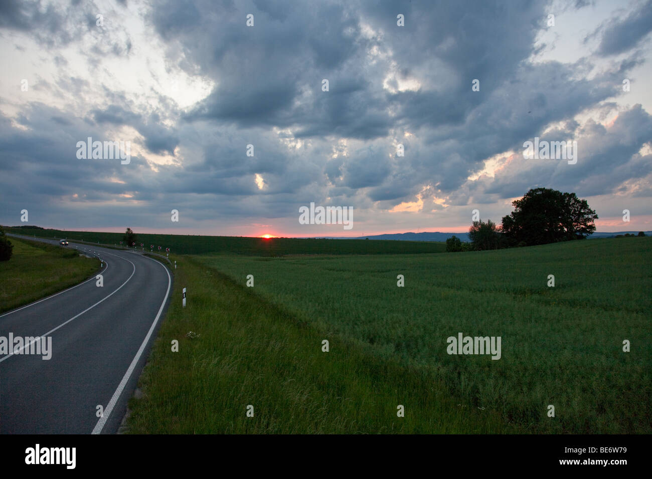 Green fields beside the road at sunset Stock Photo - Alamy