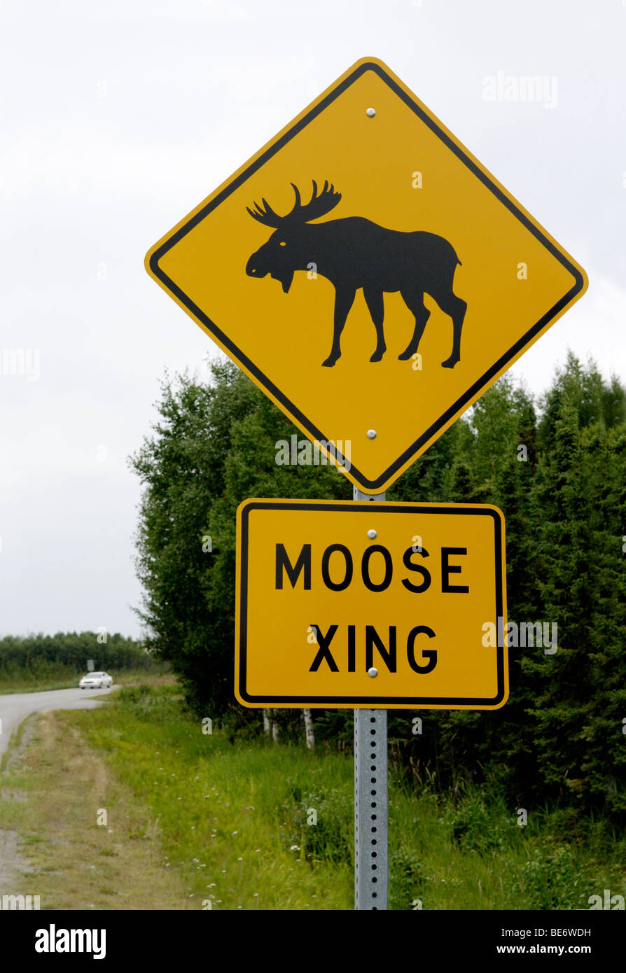 Moose crossing sign, Anchorage, Alaska Stock Photo Alamy