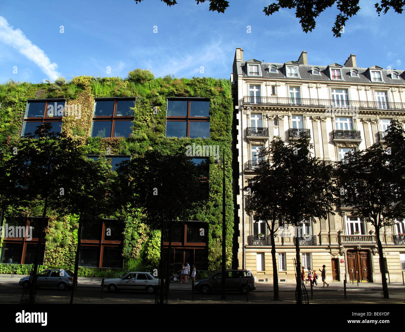 Vertical garden by Patrick Blanc,Musee du quai Branly, Paris, France Stock Photo