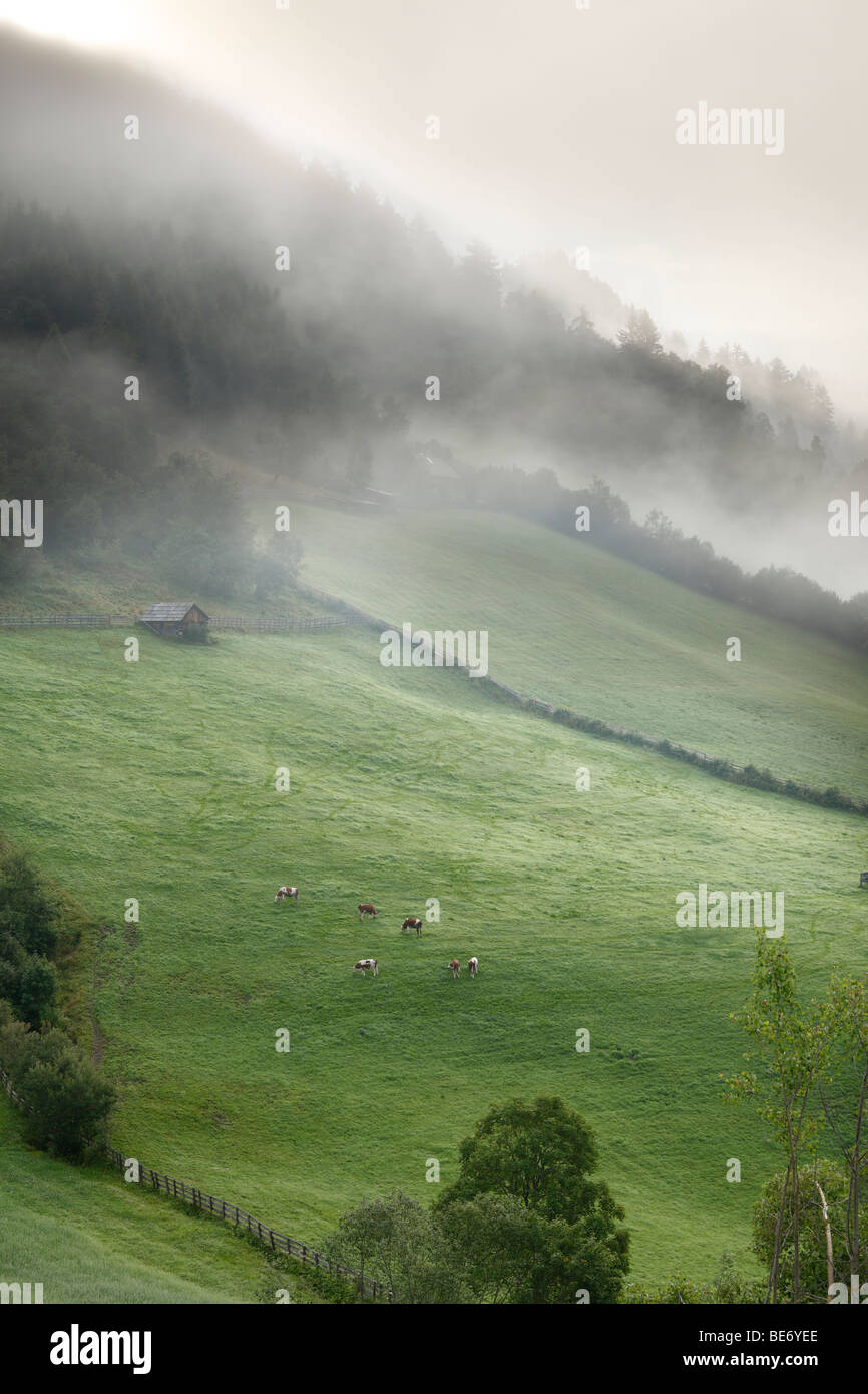 Morning fog near Tamsweg, Lungau, Salzburg state, Salzburg, Austria, Europe Stock Photo