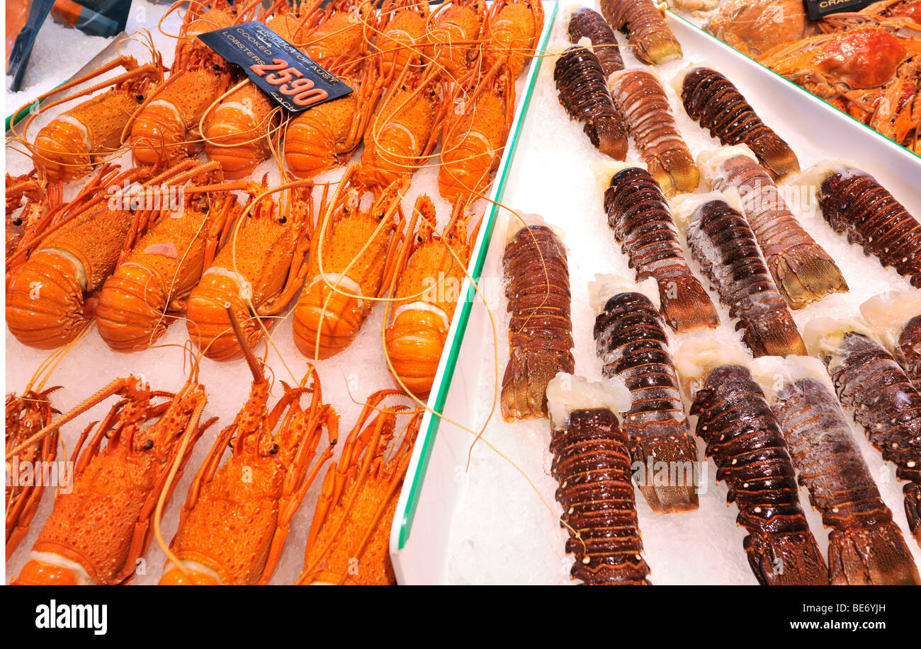Australian cooked and fresh Lobster, Sydney Fish Market, Sydney, New South Wales, Australia Stock Photo