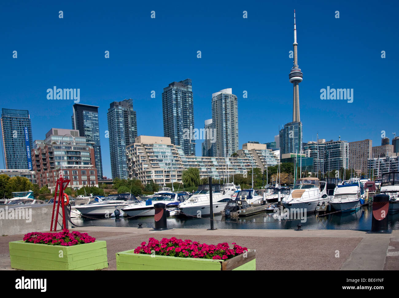 Toronto;Ontario;Canada; Waterfront Condominiums; Office Buildings;the famous CN Tower, the worlds tallest free standing tower Stock Photo