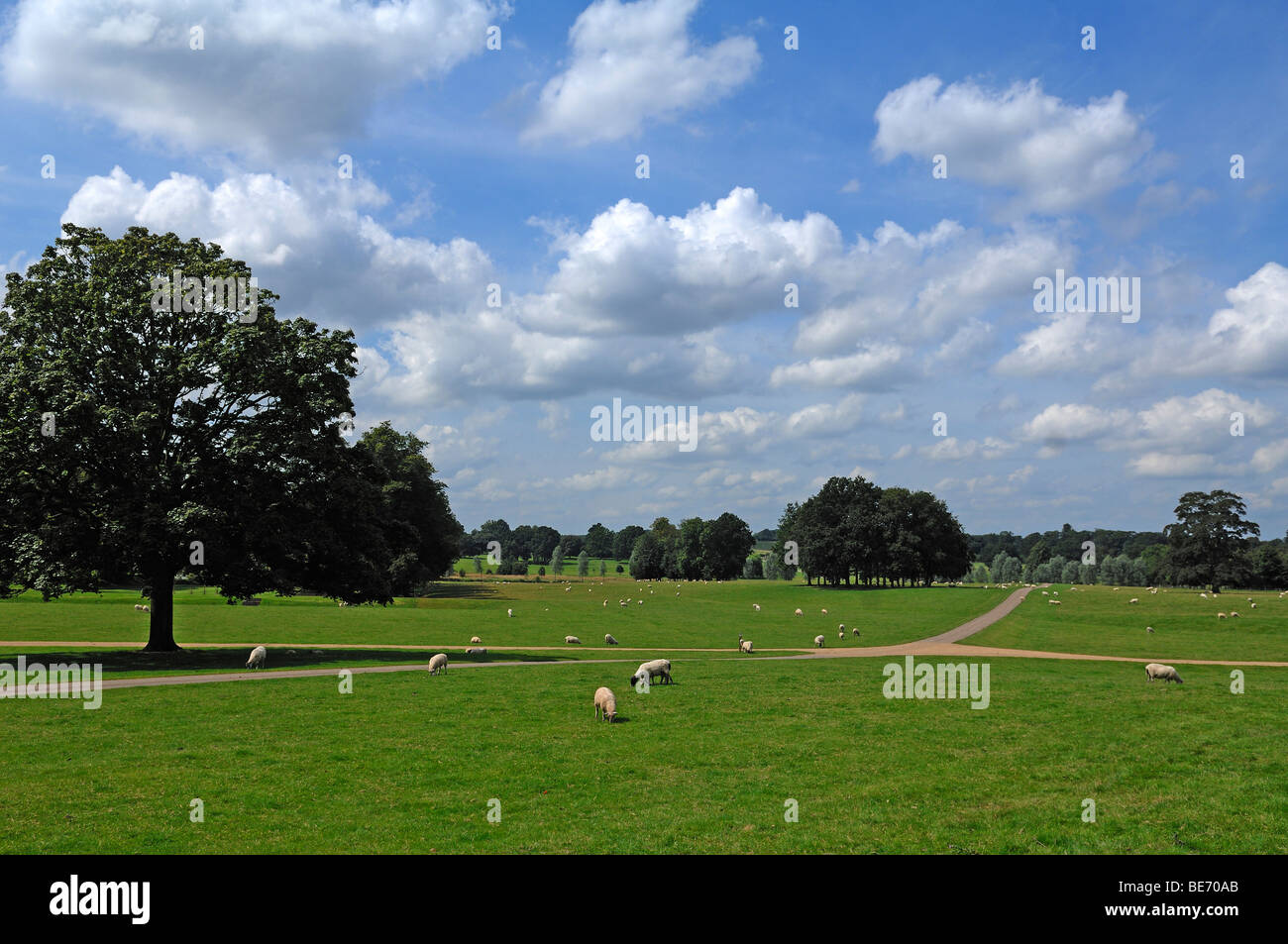 Park of 'Boughton House, Geddington, Kettering, Northamptonshire, England, United Kingdom, Europe Stock Photo