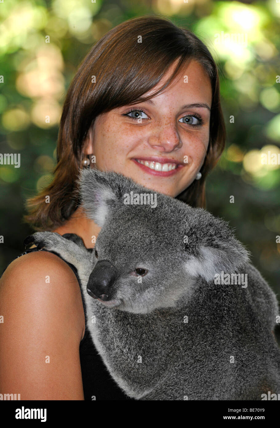 Girl carrying a koala (Phascolarctos cinereus), Queensland, Australia Stock Photo