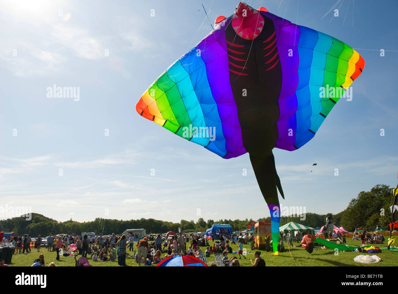 Giant Kite, Stingray, Manta, People, International Kite Festival