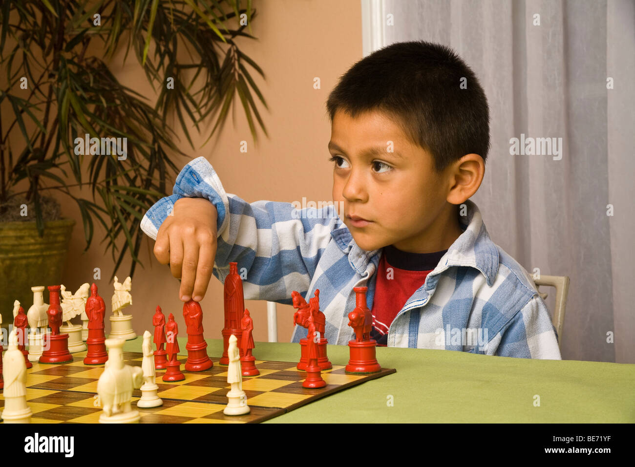 7-8 year old Hispanic boy learning to play chess. MR  © Myrleen Pearson Stock Photo