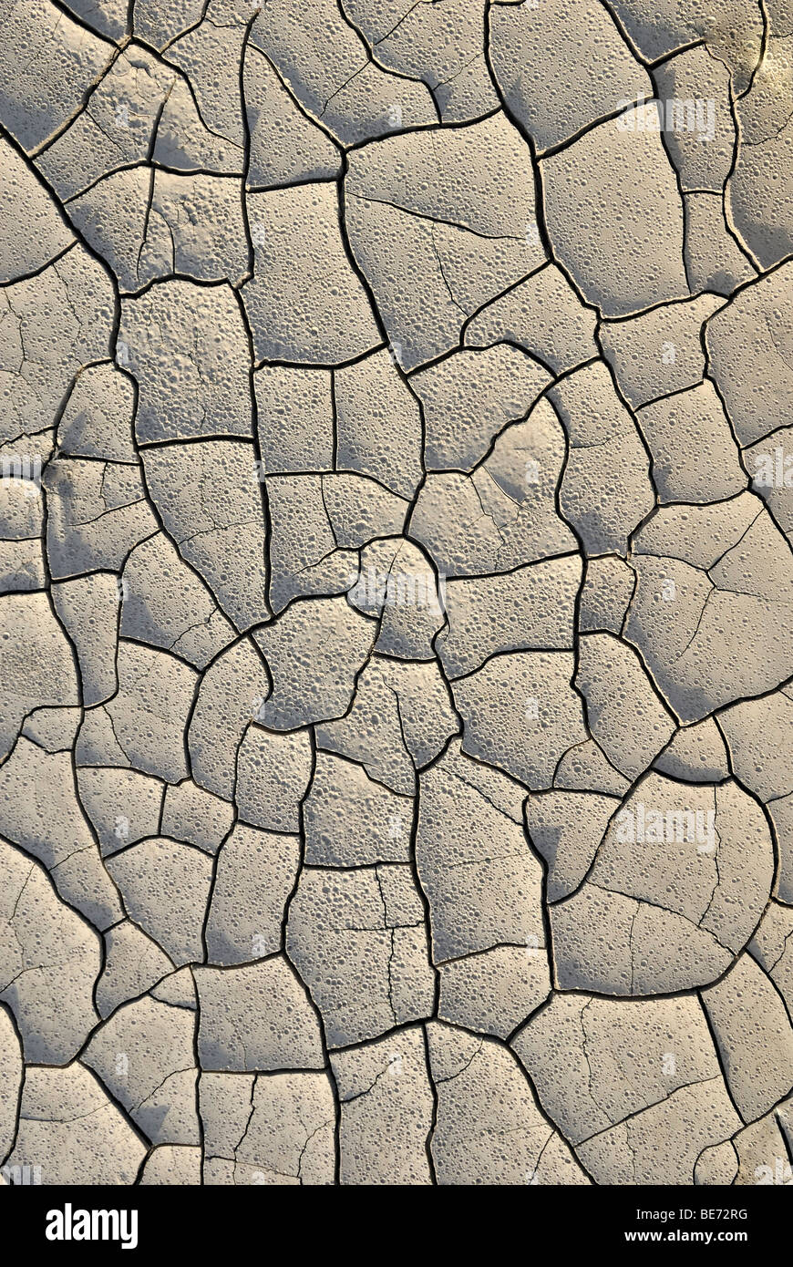 Dried mud puddle with dry cracks and traces of rain drops, Highway 24 near Caineville, Utah, USA Stock Photo