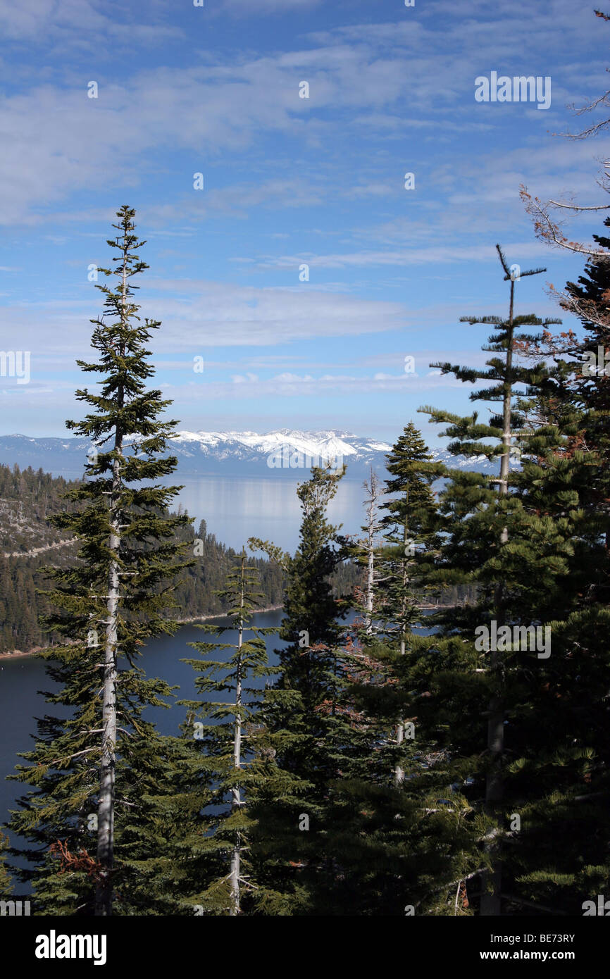 Mountains, Trees & Lake Tahoe in California Stock Photo Alamy