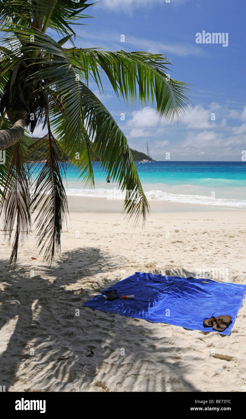 Towels under coconut palm tree on a beach, Anse Lazio, Praslin Island, Seychelles, Africa, Indian Ocean Stock Photo