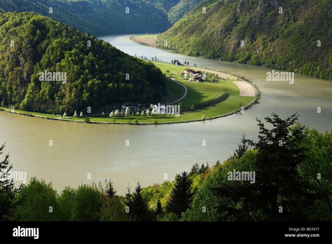 Danube River, Schloegener loop, Schloegen, Upper Austria, Austria, Europe Stock Photo