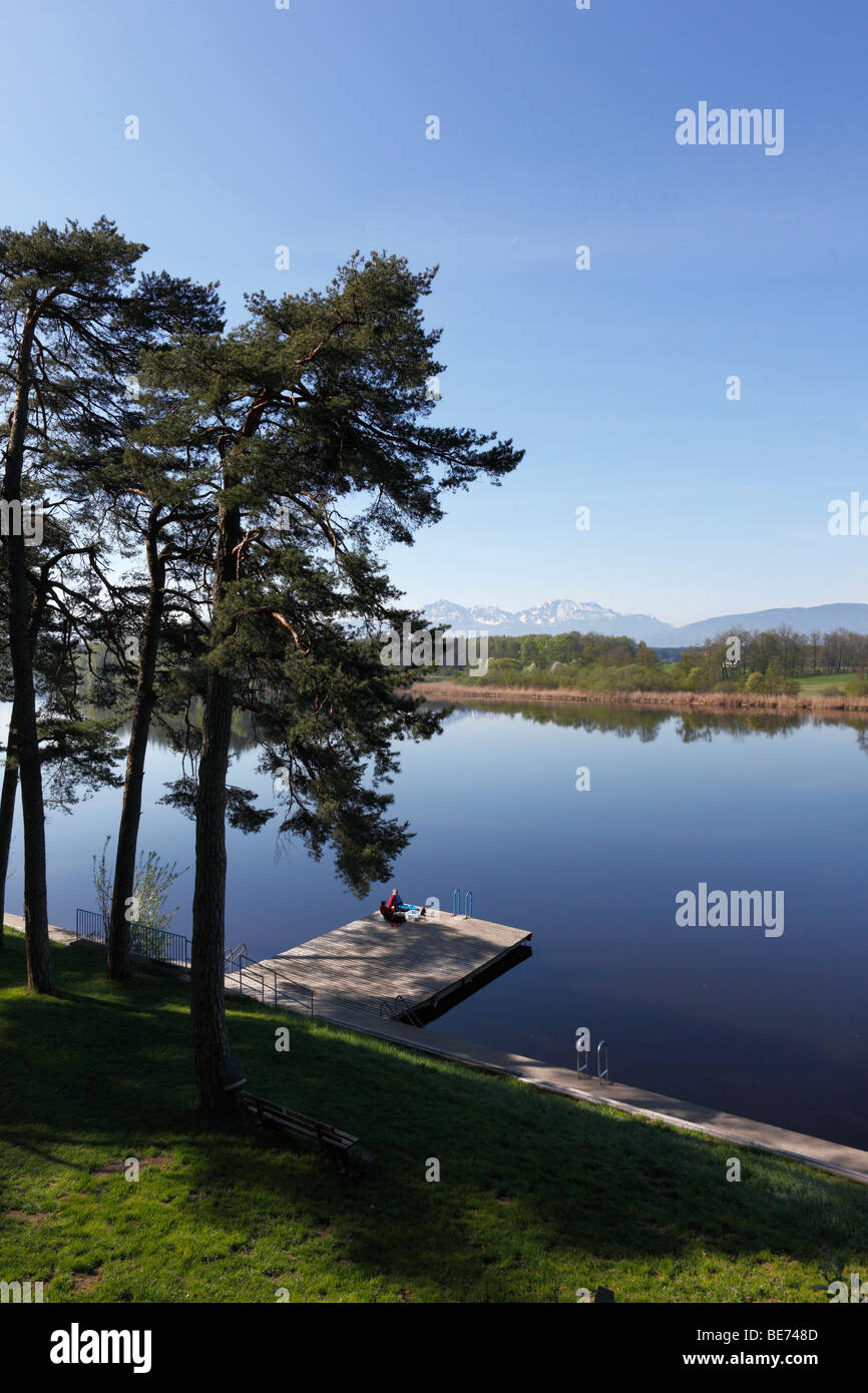 Abtsdorfer Lake, Abtsee near Laufen, Rupertiwinkel, Upper Bavaria, Germany, Europe Stock Photo