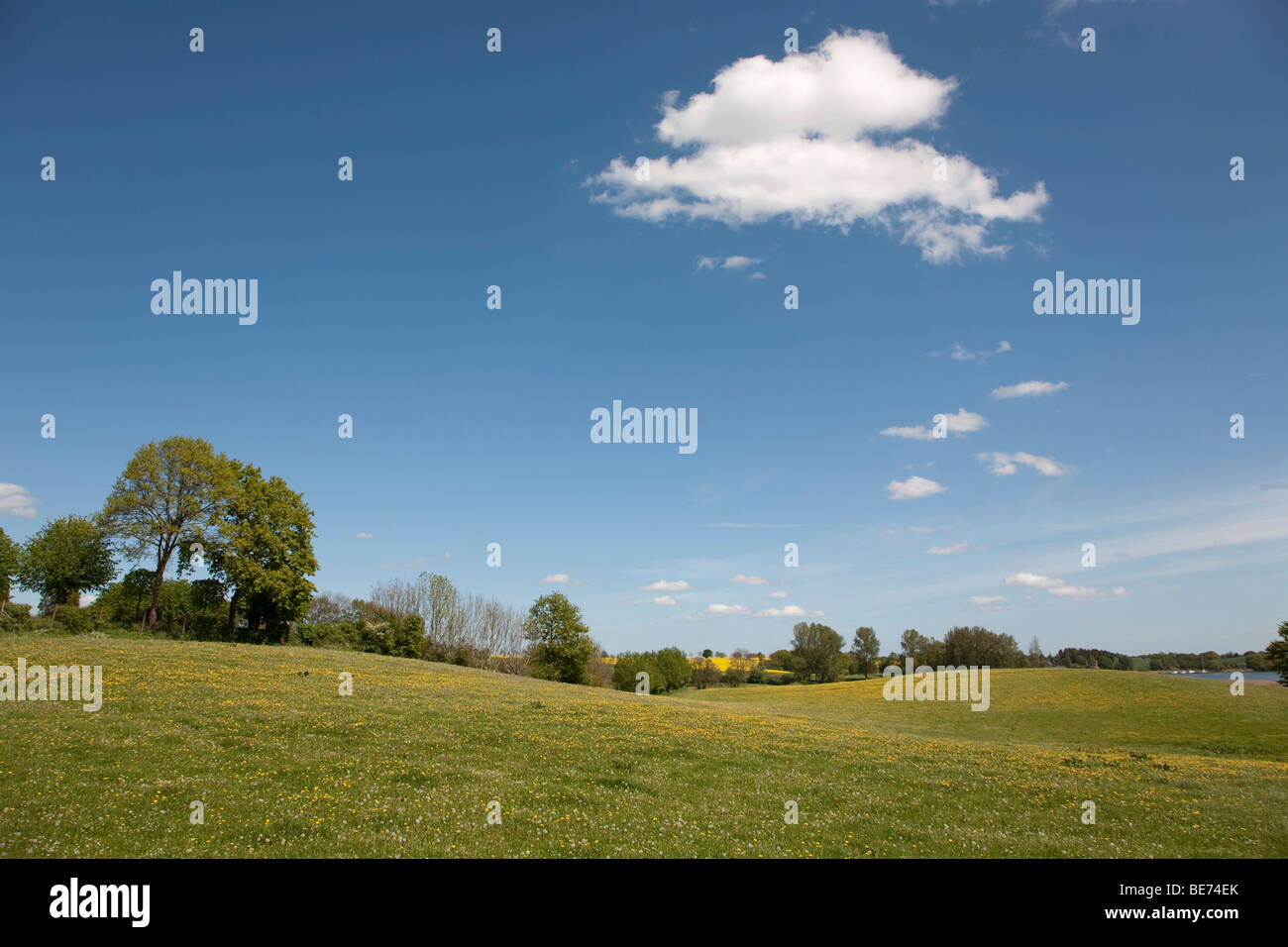 Spring in the Brodersby municipality, Angeln region, eastern down, Schleswig-Holstein, Germany, Europe Stock Photo