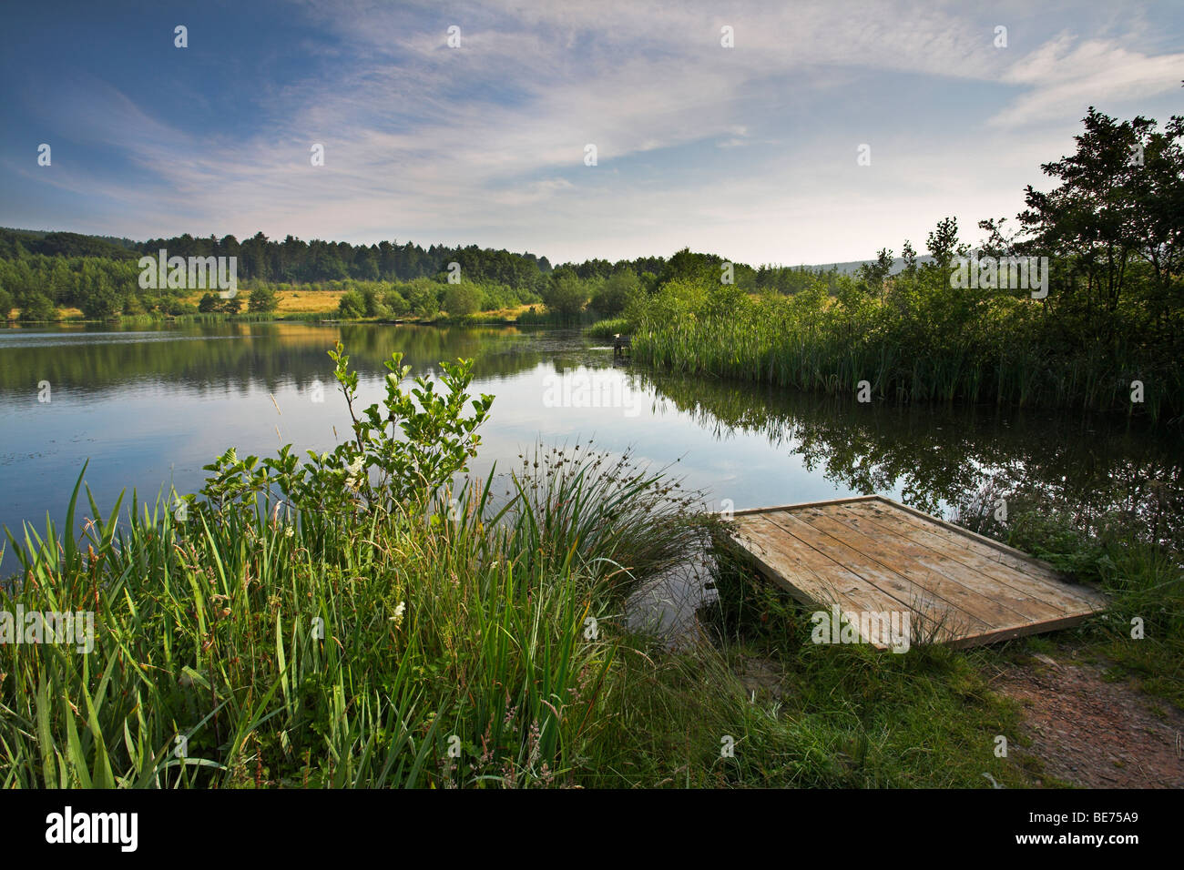 Mark mills hires stock photography and images Alamy