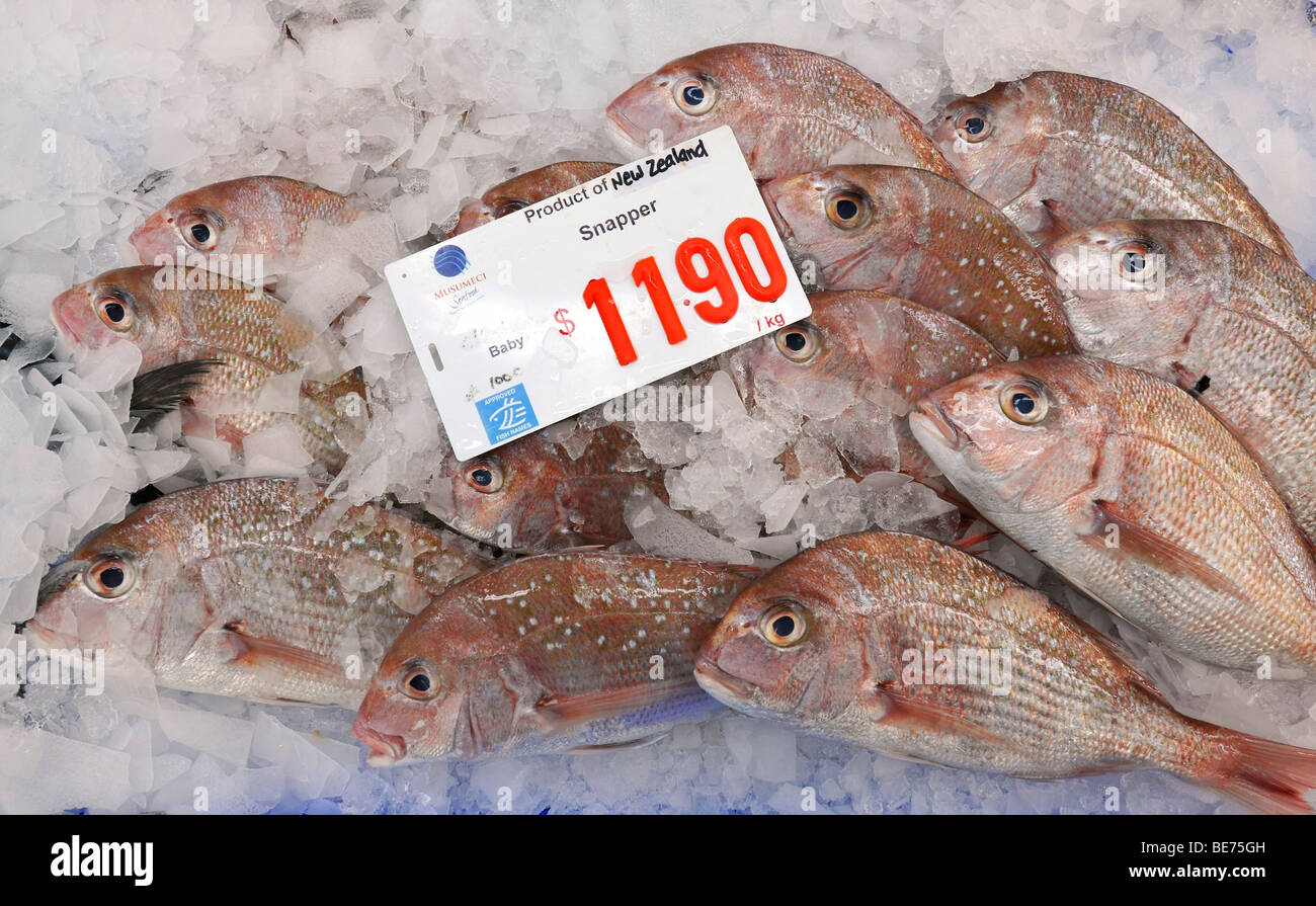 Golden snapper hi-res stock photography and images - Alamy