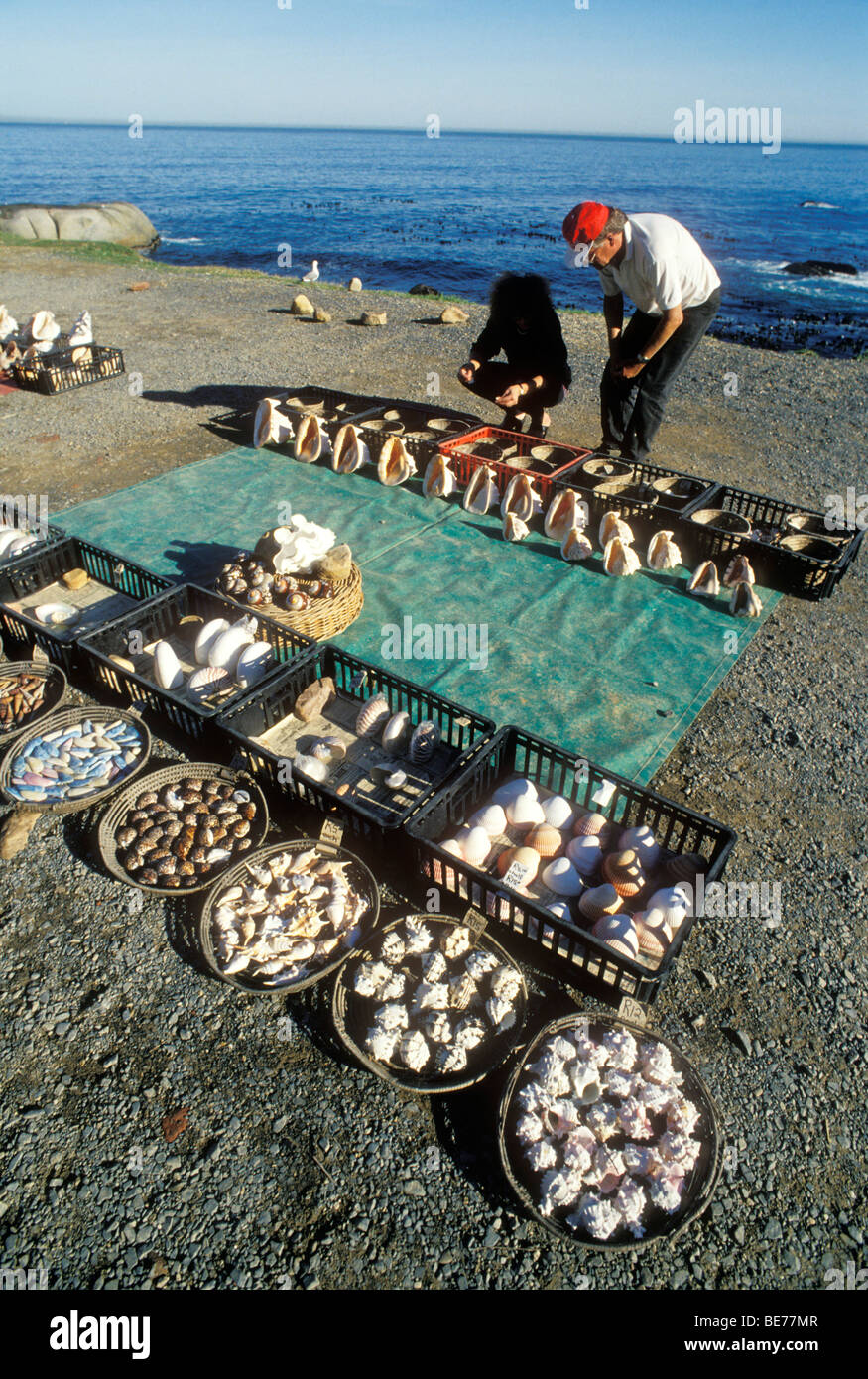 Sea Shells for sale on the beach. South African coast, South Africa