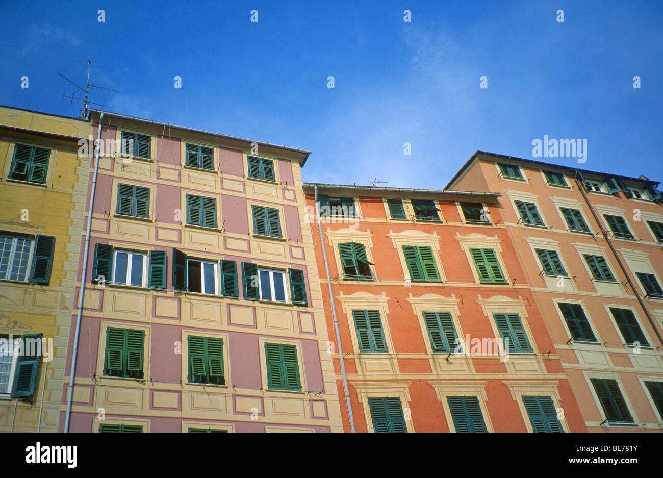House fronts, Camogli, Liguria, Italy, Europe Stock Photo