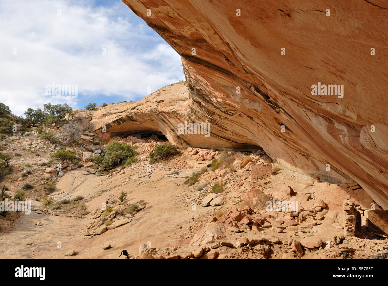 Overhanging rock face, including the remains of historical dwellings of the Anasazi Indians, about 900 years old, Cold Springs  Stock Photo