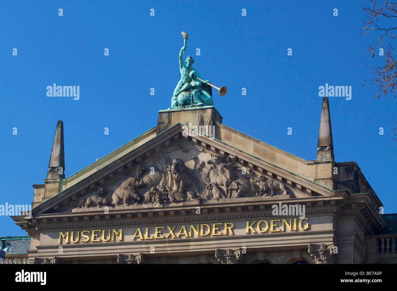 Alexander Koenig Museum, Zoological Research Museum, Bonn, North Rhine-Westphalia, Germany, Europe Stock Photo