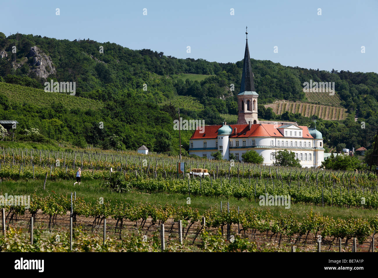 Vineyards and castle of the Teutonic Order, Gumpoldskirchen, Vienna Woods, Lower Austria, Austria, Europe Stock Photo