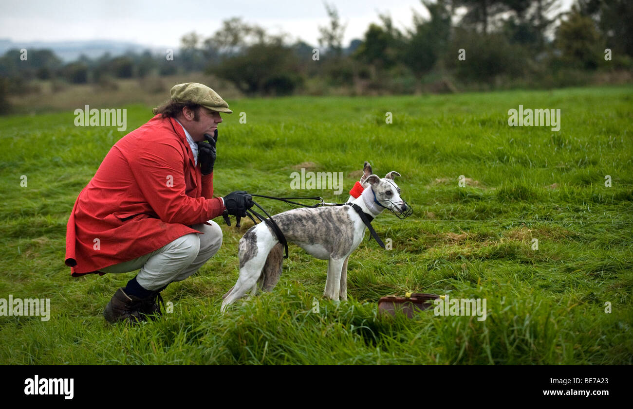 penny meadow whippets