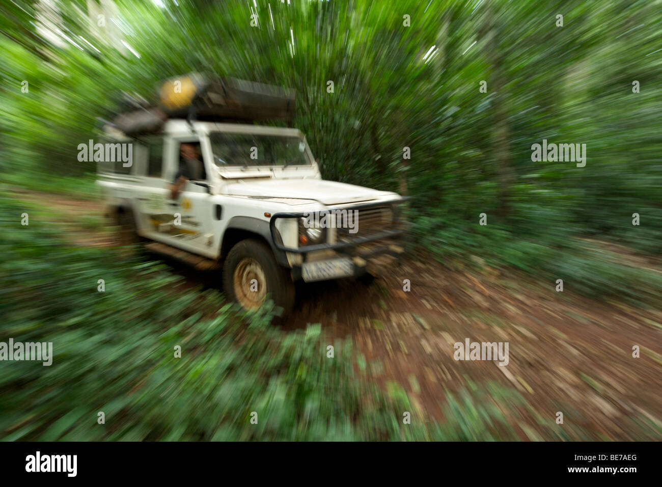 Land Rover Defender in the Budongo Forest Reserve in Uganda. Stock Photo