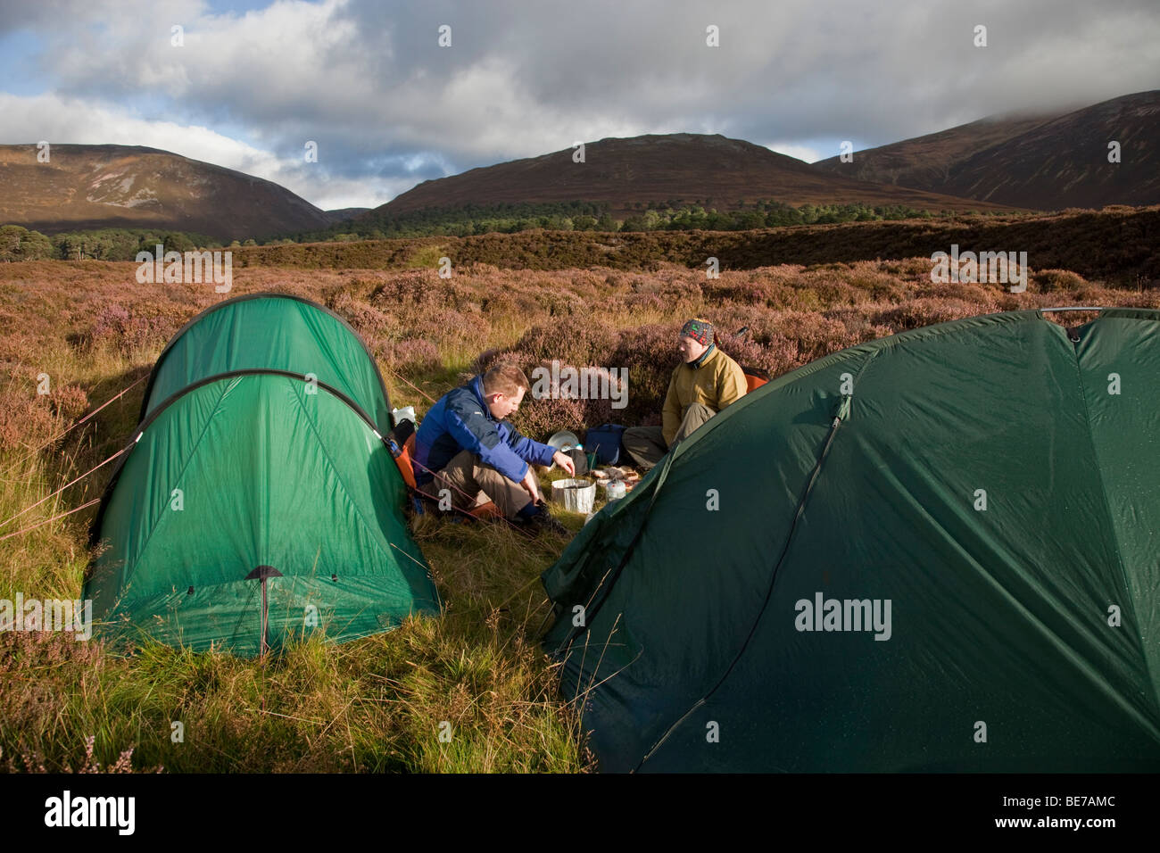 Two men preparing to cook outside their tents among the heather in the Cairngorm mountains, Scotland Stock Photo