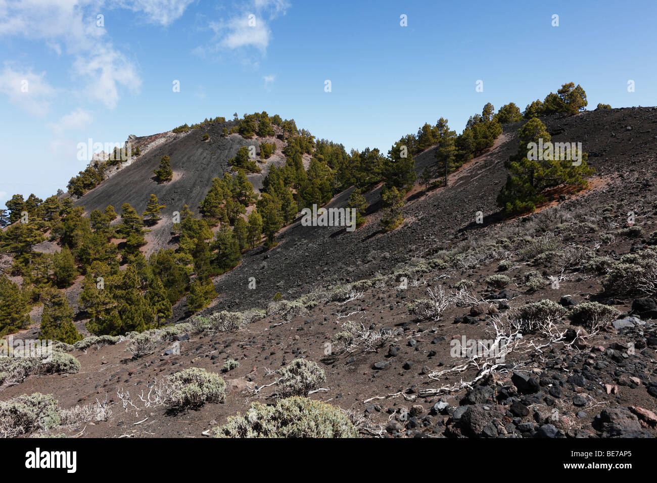 Nambroque volcano, Cumbre Vieja, 'Ruta de los Volcanes, Volcano Route, La Palma, Canary Islands, Spain, Europe Stock Photo