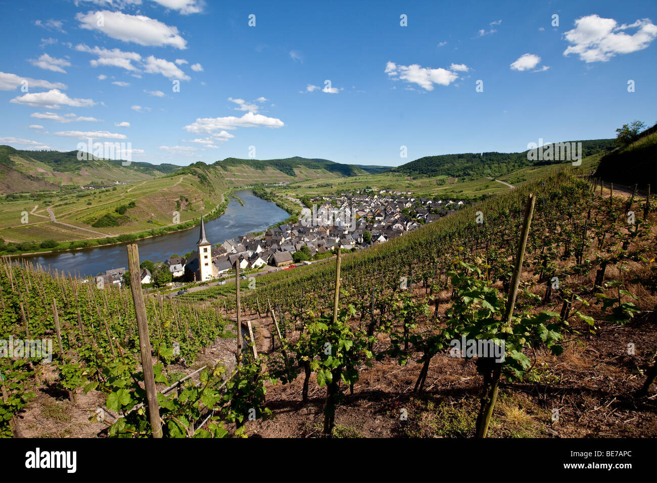 View on to the Moselle River loop near the town of Bremm, district of Cochem-Zell, Mosel, Rhineland-Palatinate, Germany, Europe Stock Photo