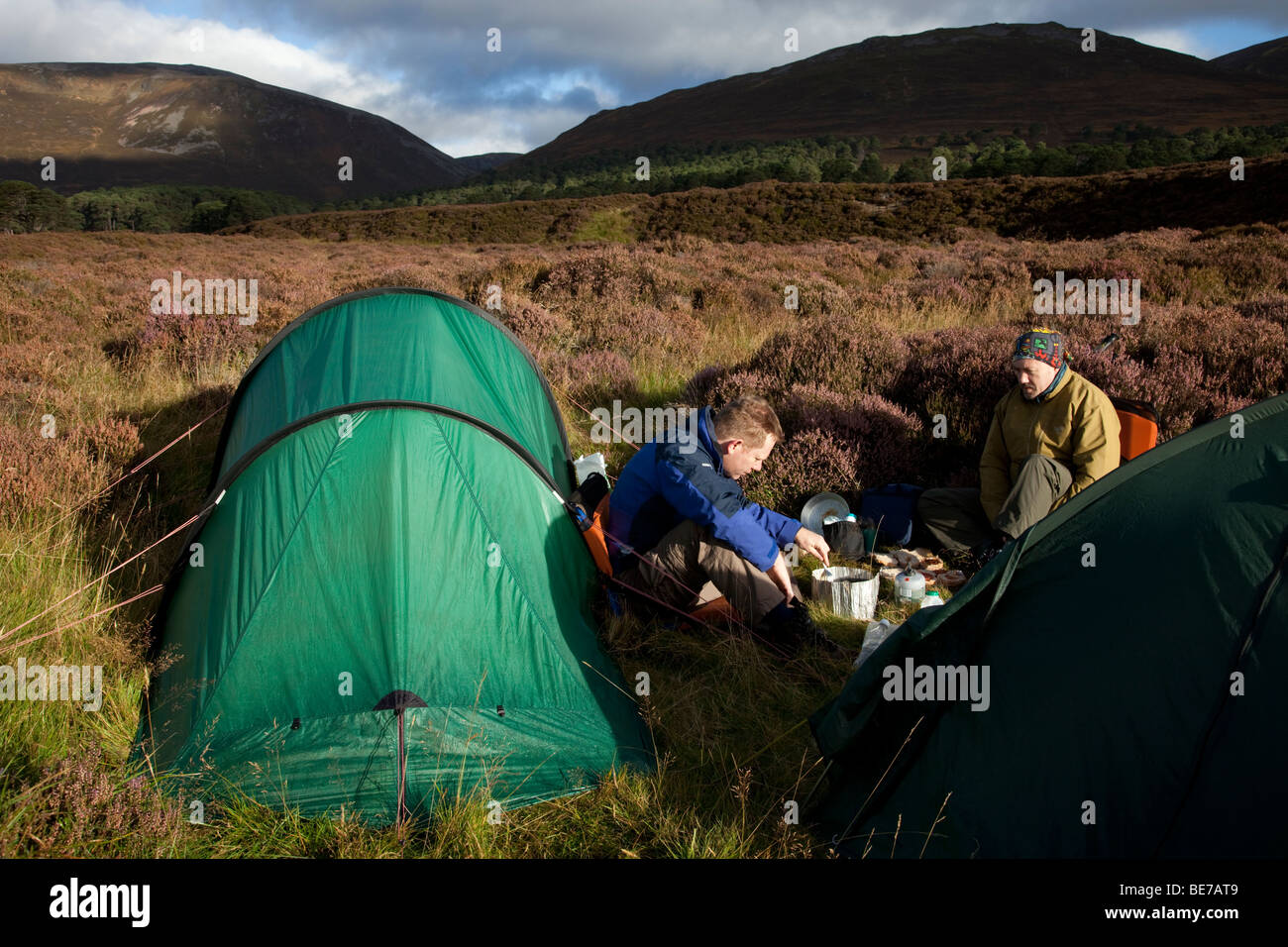 Two men preparing to cook outside their tents among the heather in the Cairngorm mountains, Scotland Stock Photo