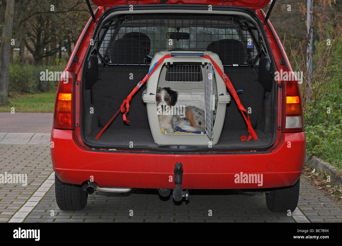 Dog crate car hi-res stock photography and images - Alamy