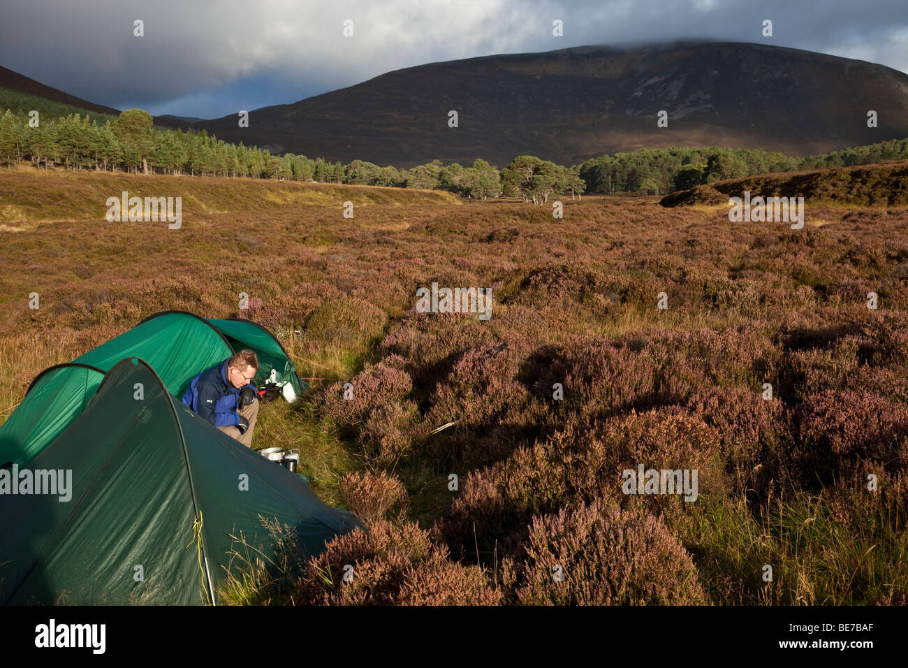 A man preparing to cook outside his tent among the heather in the Cairngorm mountains, Scotland Stock Photo