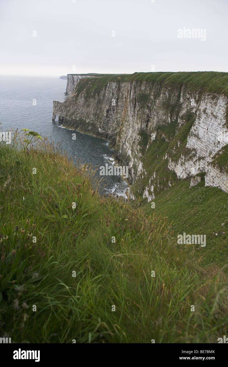 View of the North Sea and Bempton Cliffs and slopes on overcast morning in Yorkshire, UK in June. Stock Photo