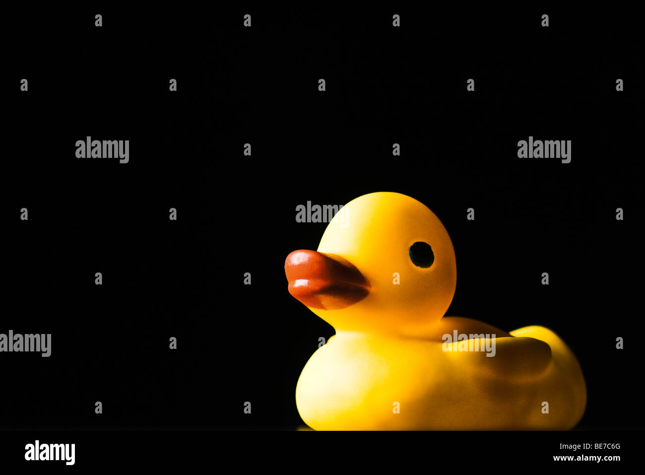 Rubber duck, on black background Stock Photo