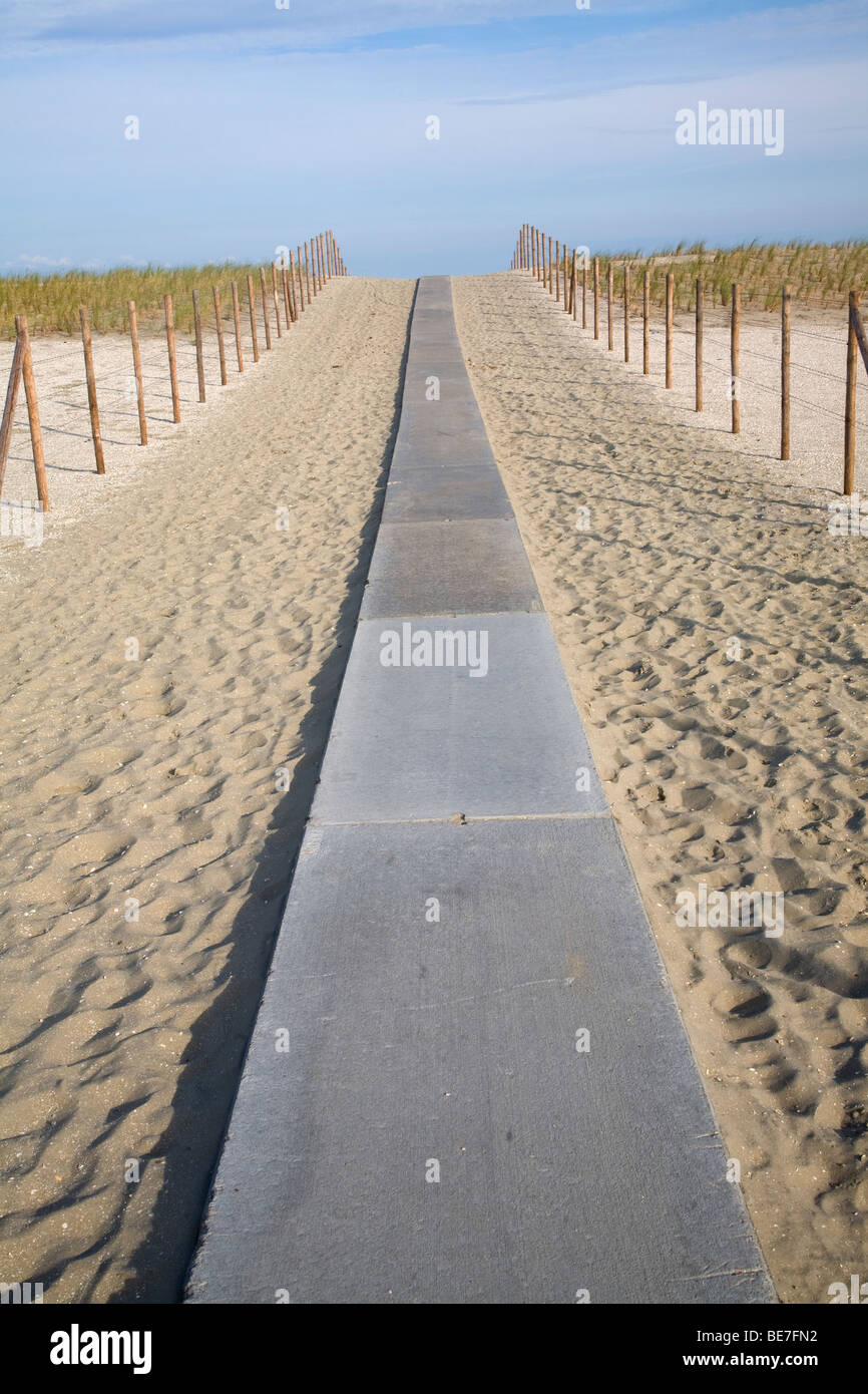 Sand dunes, Hook of Holland, Holland Stock Photo - Alamy