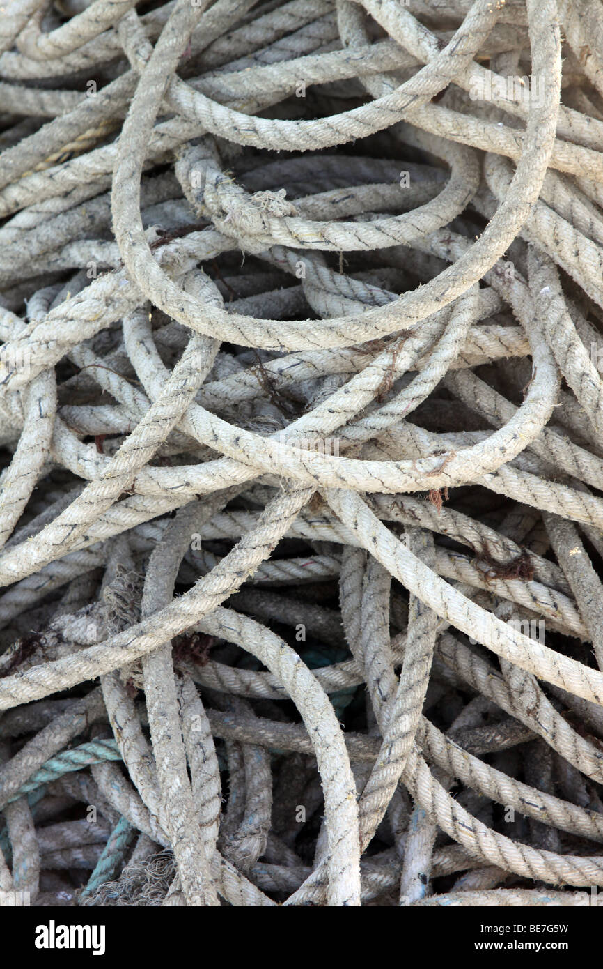 Tangled up ropes Stock Photo