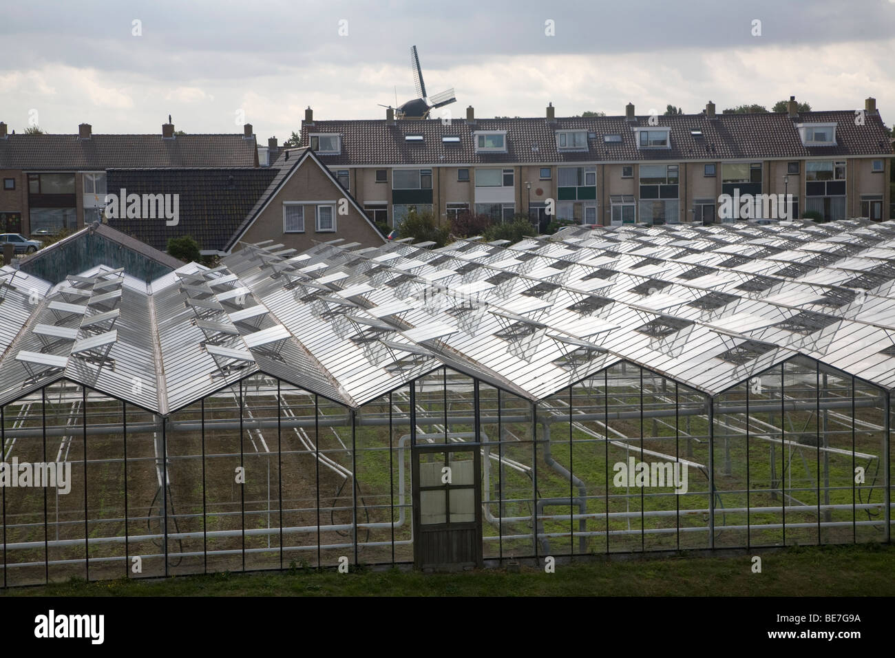 Greenhouses Monster Holland Stock Photo Alamy