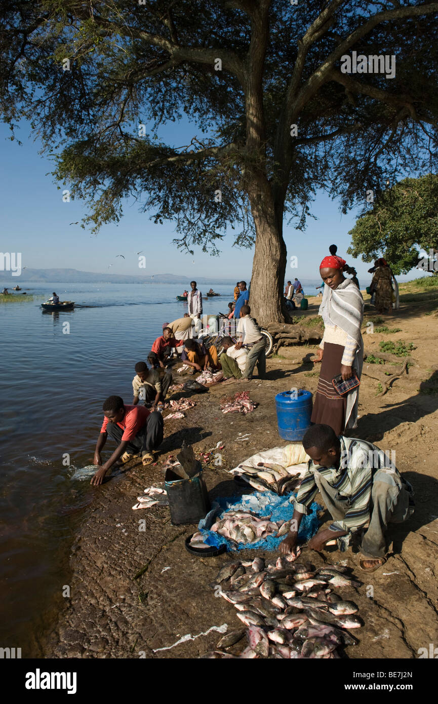 people cleaning fish, Fish market, lake Awassa, Ethiopia Stock Photo