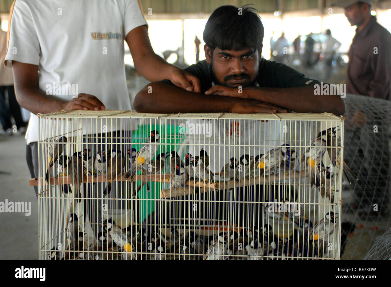 Cage of Birds for Sale with Seller, Friday Market, Kuwait City, Kuwait