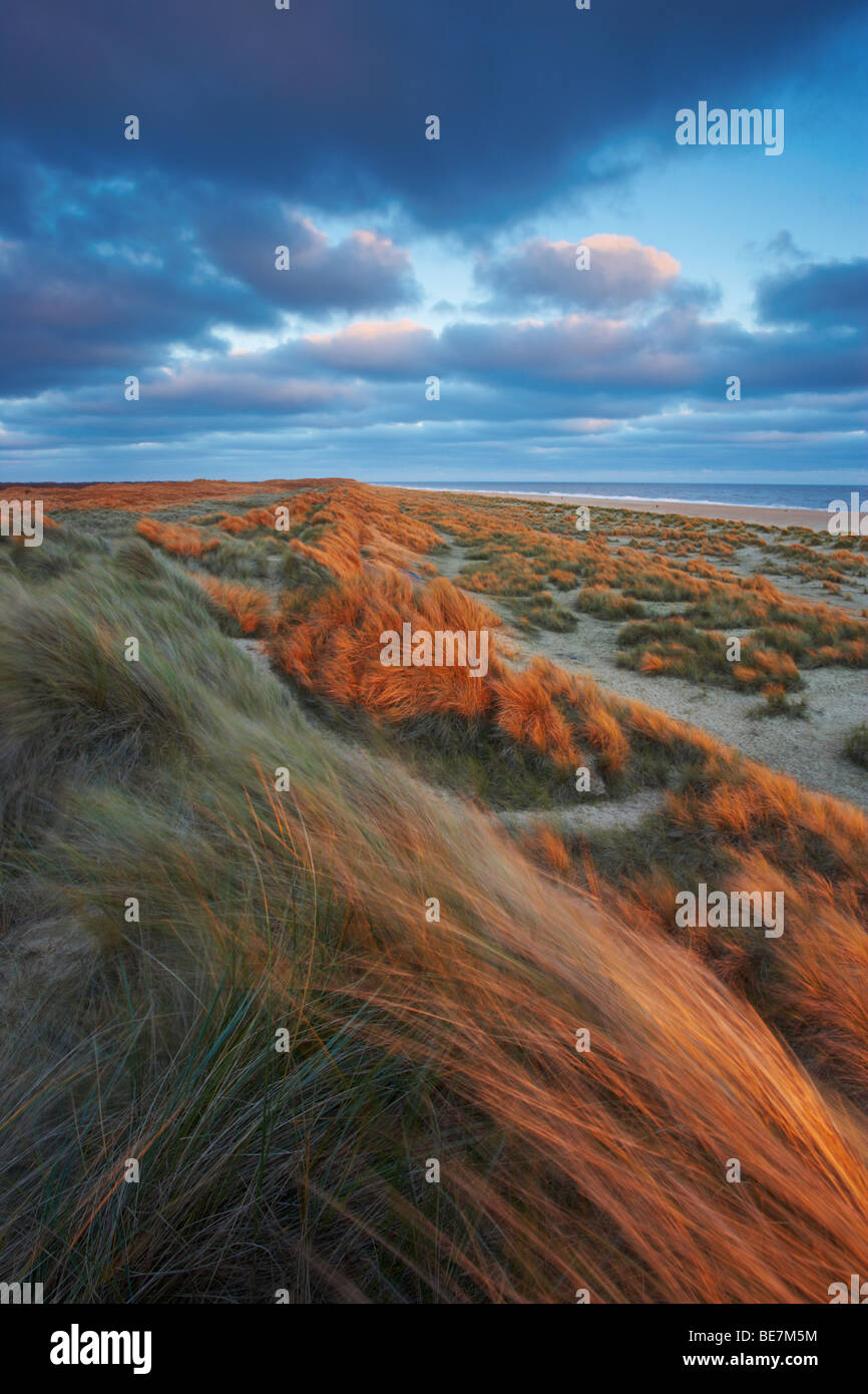 A winter morning at Winterton on Sea on the Norfolk Coast Stock Photo ...