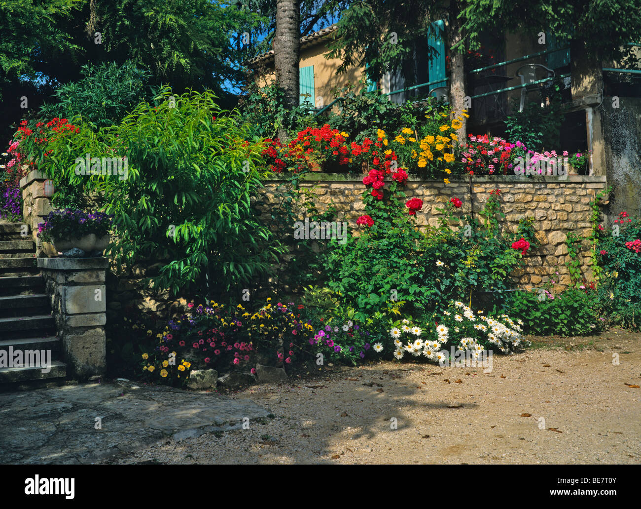 The Garden Of A French Farmhouse Near Menerbes In The - 