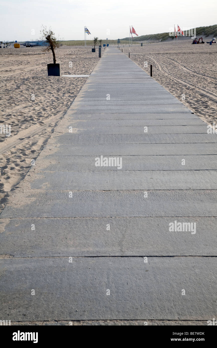 Sand dunes, Hook of Holland, Holland Stock Photo Alamy