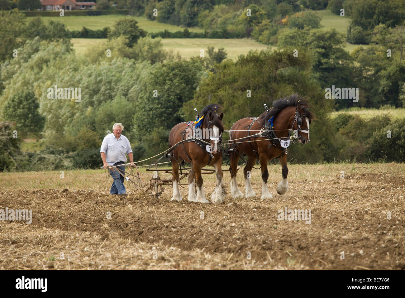 Pulling plough hires stock photography and images Alamy