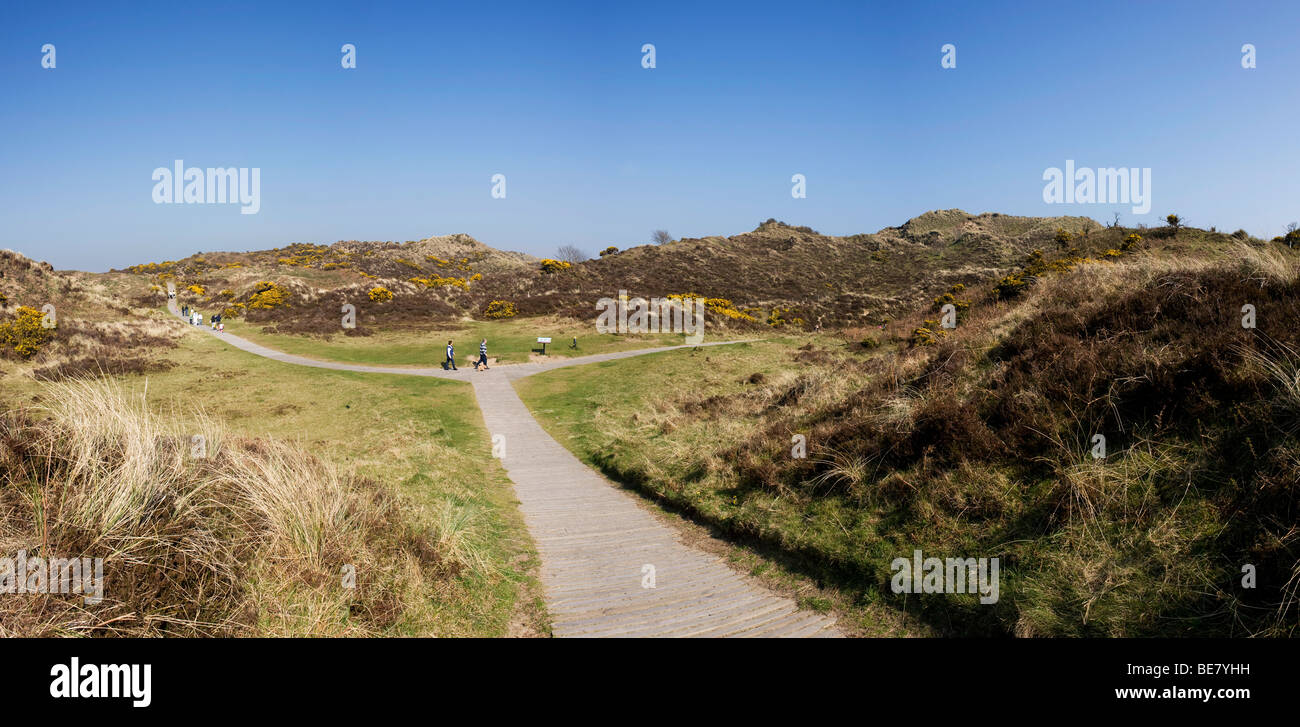 Walking Murlough Nature Reserve County Down Northern Ireland Stock