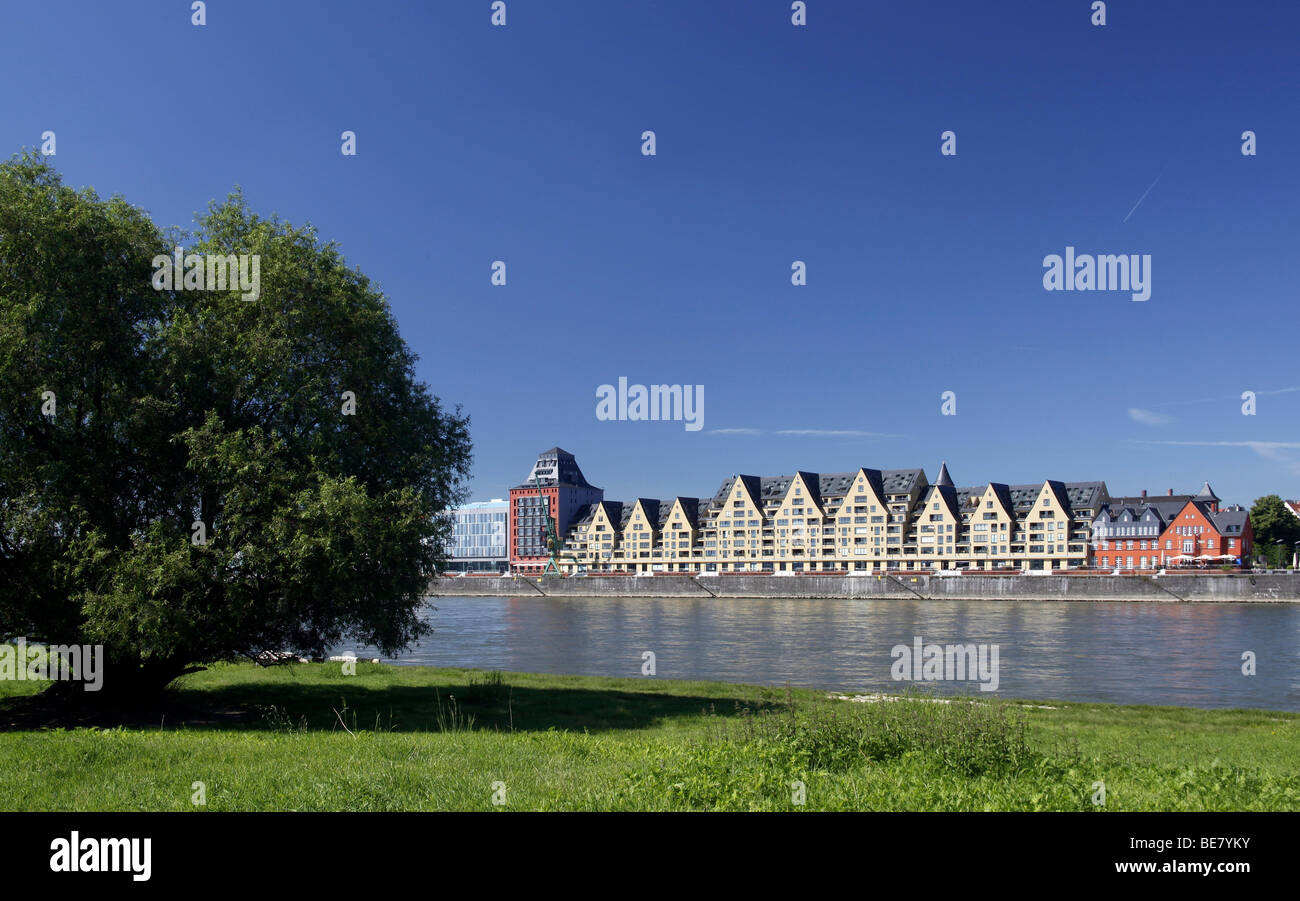 Siebengebirge and Silo 23, storehouses converted into homes and offices at the Rheinauhafen harbour, Cologne, Rhineland, North Stock Photo